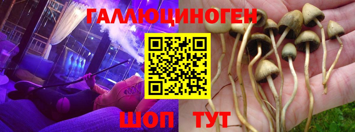Галлюциногенные грибы MAGIC MUSHROOMS Элиста