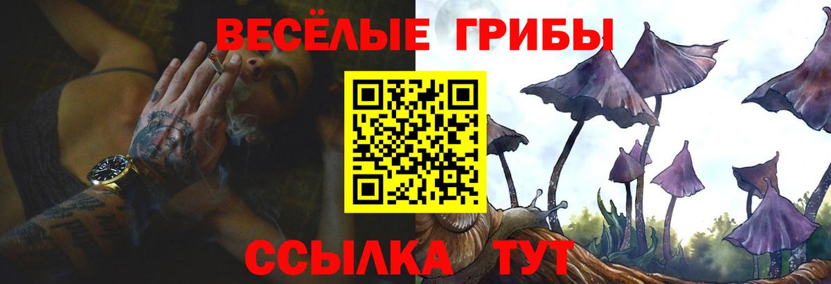 Галлюциногенные грибы Psilocybe  Вход с VPN  Элиста  Галлюциногенные грибы ЛСД 